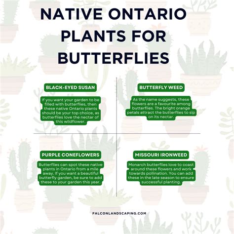 Native Plants in Ontario List: Top Ones to Choose From