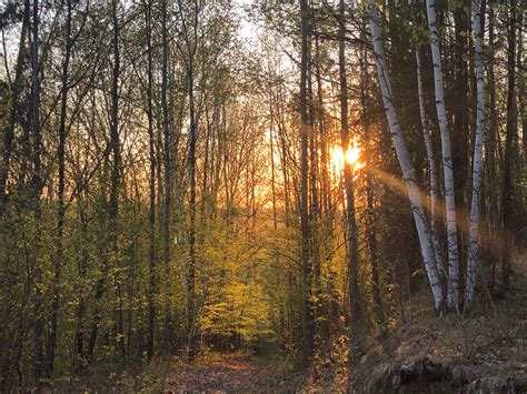 Open Field Building 的图像结果