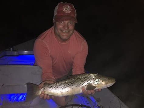 Unlocking the Waters: White River, Arkansas Fishing and the Convenience ...