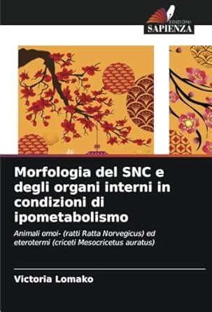 Buy Morfologia del SNC e degli organi interni in condizioni di ...
