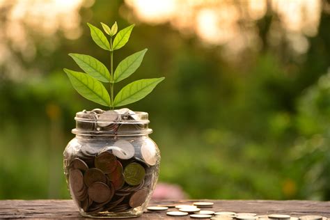 Financial Wellness Quiz - Quizzes.now