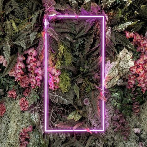 Python Color Rectangle RGB 的图像结果