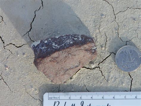 Image result for Meteorite Hunting