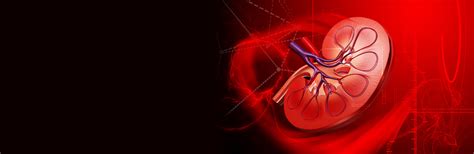 Clinical use of Erythropoietin in Chronic Kidney Disease | Anemia and ...