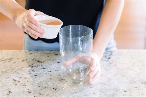 How to Make a DIY Wasp Trap