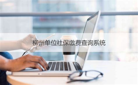 柳州社保人脸识别认证系统 柳州社保资格认证方式 HR学堂【桂聘】