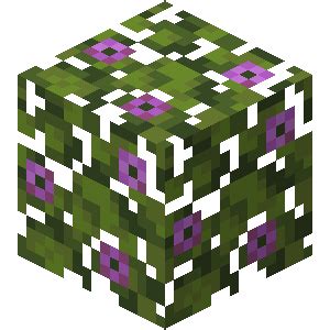 Image result for Minecraft Azalea Tree