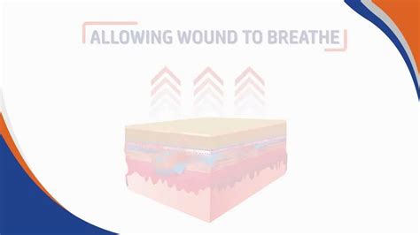 WOUND DRESSING - Trushield Nxt - Wound Dressing Wholesale Trader from ...