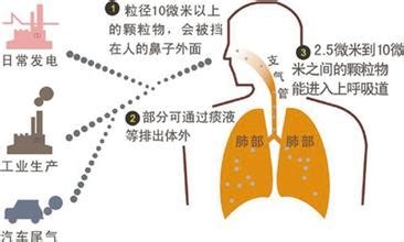专家解读：PM2.5致癌的危险与烟草为同级_健康_腾讯网