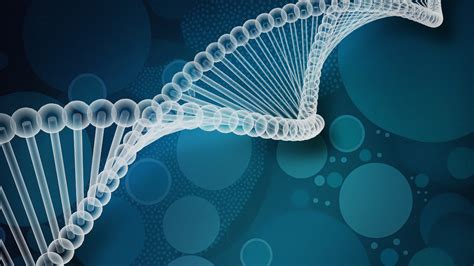 Image result for Digital PCR Tutorial