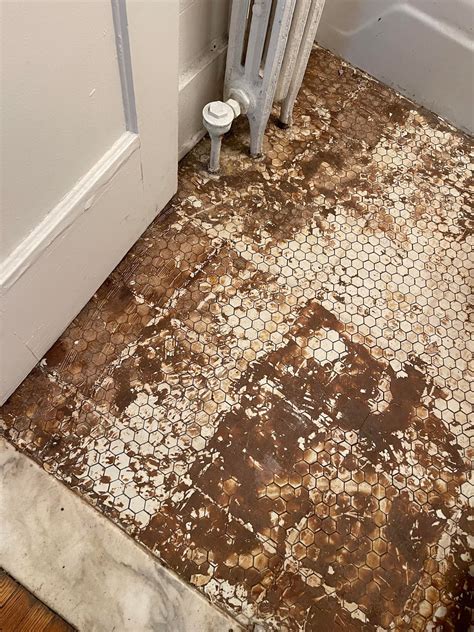 linoleum is gone- how do i scrape up the poo glue most effectively? : r ...