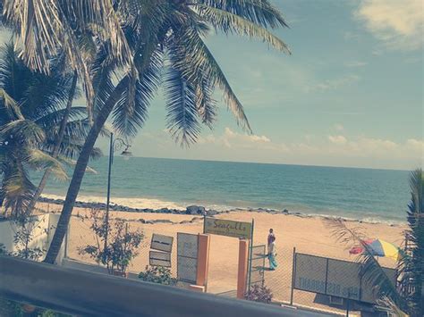 Seagulls Restaurant, Pondicherry - Restaurant Reviews, Phone Number ...