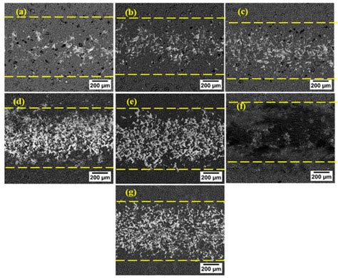 Systematic Investigation of Silicon Content Effects on the PEO Coatings ...