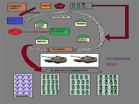 Image result for Command Structure Book