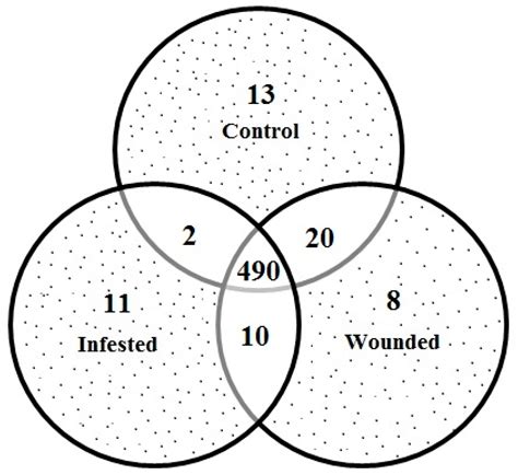 Identification of Proteins Modulated in the Date Palm Stem Infested ...