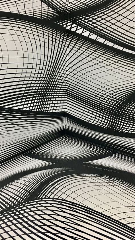 Download wallpaper 1350x2400 plexus, monochrome, lines, wavy, shapes ...