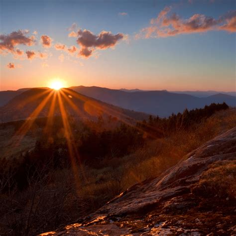 Kings Mountain North Carolina Flooring Services - DE ARMAS WOOD FLOORS