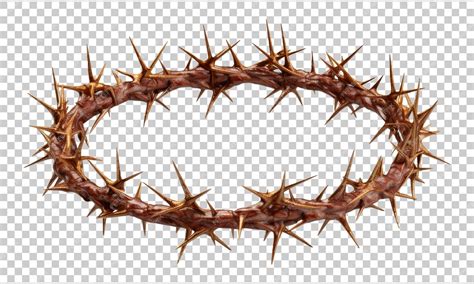 Premium PSD | Crown of thorns isolated on transparent background