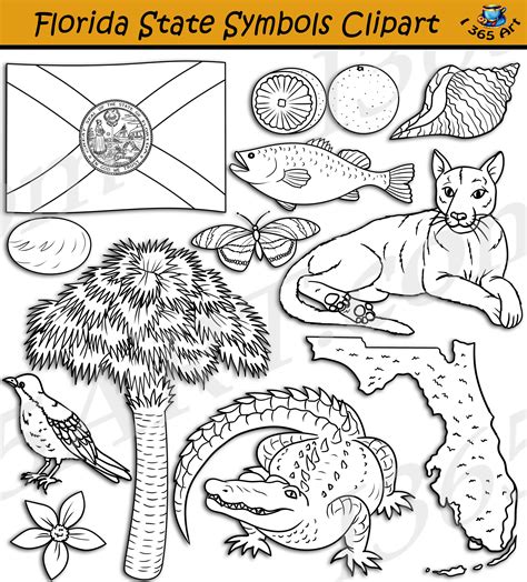 Florida State Symbols Clipart Download - Clipart 4 School