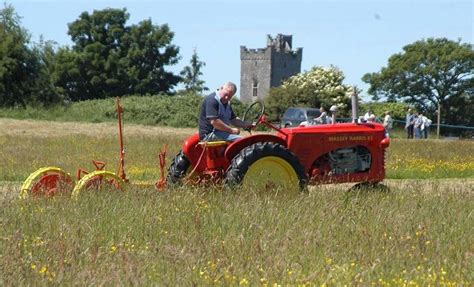 Trim Haymaking Festival 2023!!, Porchfields, Trim, Co. Meath, Tallaght ...