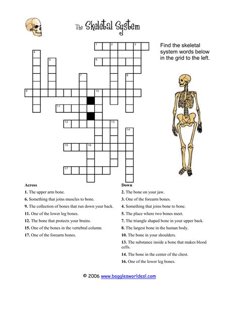 Skeleton Crossword Puzzle Printable - Printable Word Searches