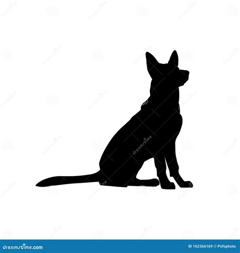 Dog Sitting Silhouette