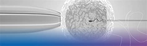 Best IVF Hospital in Rajkot | Affordable Fertility Care Centre Rajkot