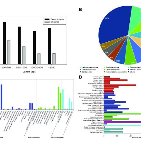 Image result for Transcriptome Analysis