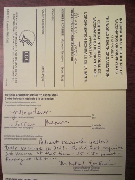 Yellow Fever Vaccination When Pregnant or Breastfeeding? – Gypsy Momma