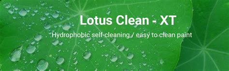 Lotus Clean - XT