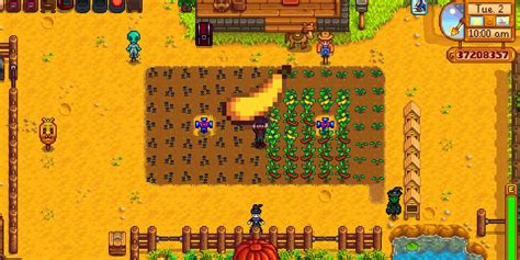 Stardew Valley: How to Get Summer Squash Seeds