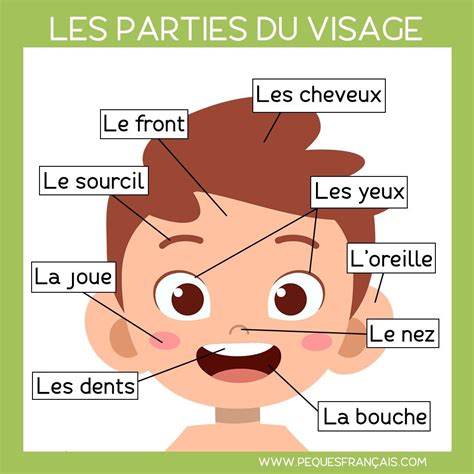 Les parties du visage 👦🏽 | Learning french for kids, French learning ...