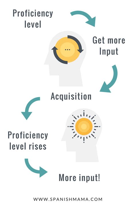 Image result for Comprehensible Input Examples