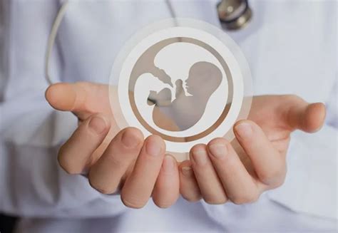 Baby to be made by just one person? That's what a fertility research ...