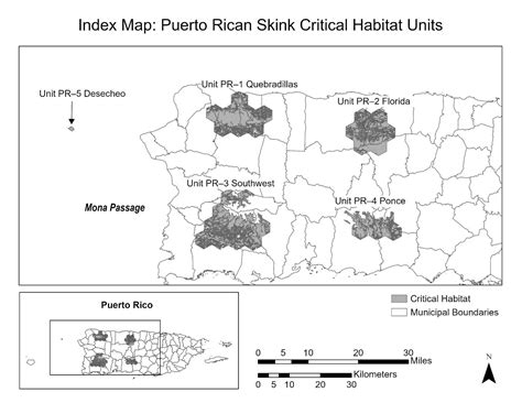 Map of Critical Habitat for the Puerto Rican Skink | FWS.gov