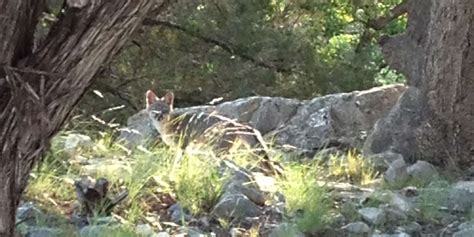 Photo Gallery - YO Ranchlands