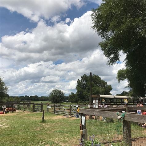 UNCLE DONALD'S FARM (2026) All You Need to Know BEFORE You Go (with ...