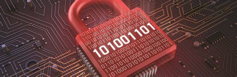 Bachelor of Science in Computer Engineering 的图像结果