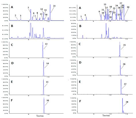 Rapid Determination of 30 Polyphenols in Tongmai Formula, a Combination ...
