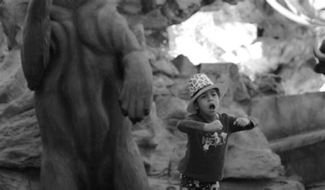 PARQUE TAMATAN (2025) All You Need to Know BEFORE You Go (with Photos ...