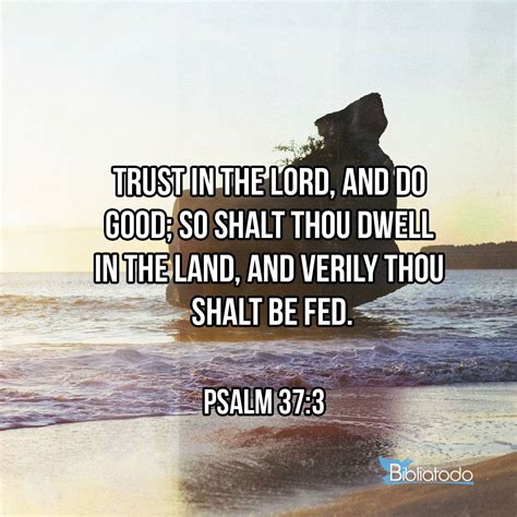 Psalm 37:3 Bible Cross References | Connecting Verses Across Scripture ...