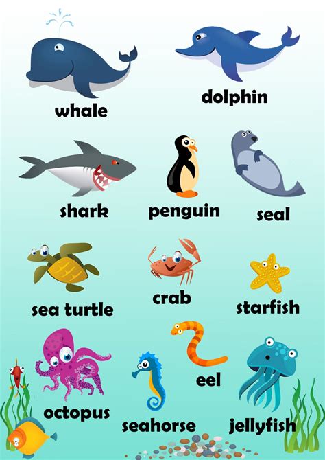 Ideas For Sea Animals List Names