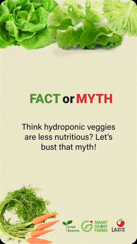 Smart Grow Farms | Think healthy, think green! Think sustainable, think local! Dubai, get ready ...