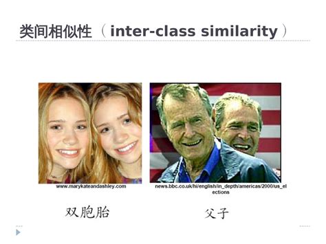 Detection 2021 的图像结果