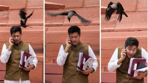 AAP’s Raghav Chadha Attacked By Crow Outside Parliament, BJP Says ...