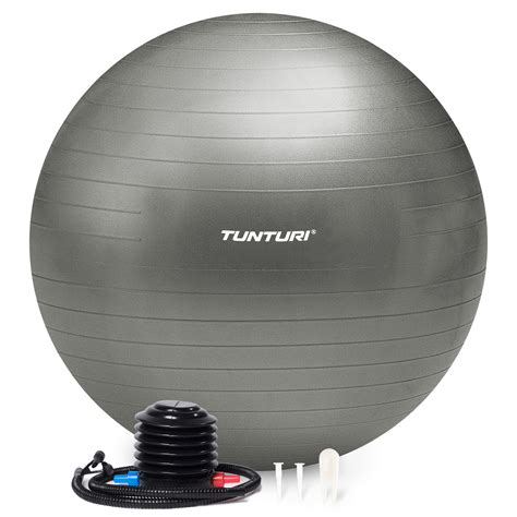 Tunturi Gymball silver anti burst | buy online
