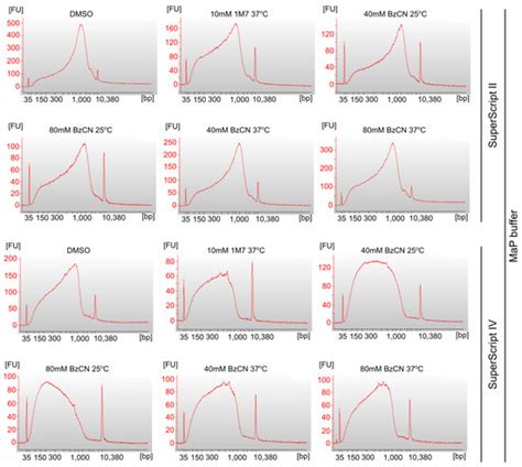 The Evaluation of SHAPE-MaP RNA Structure Probing Protocols Reveals a ...