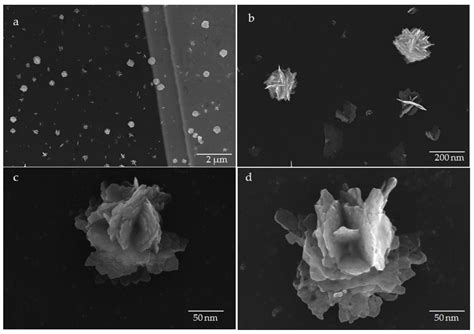 Diatom Mediated Production of Fluorescent Flower Shaped Silver-Silica ...