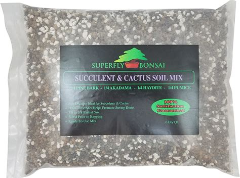 10 Best Succulent Soil Mixes - Reviewed (Winter 2024)
