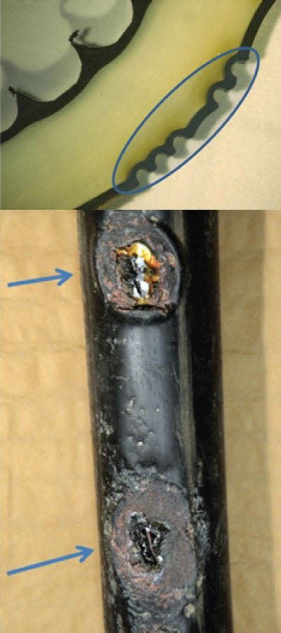 Image result for Cable Screen